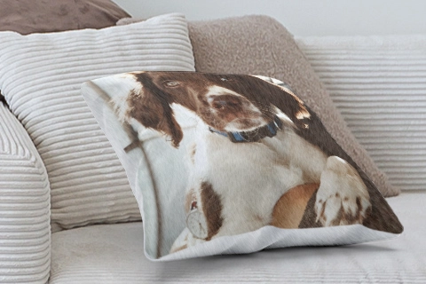 photo coussin personnalise en peluche