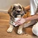 une personne qui câline un chien