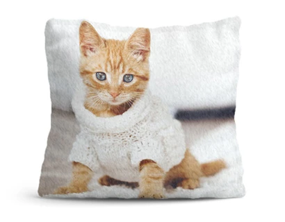 Coussin personnalisé